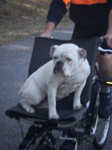 another view of her highness