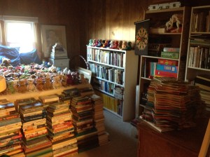 This is a fun shot of the guest room with all the books crammed in to make room for construction