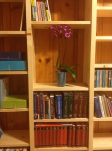 I LOVE THESE SHELVES!