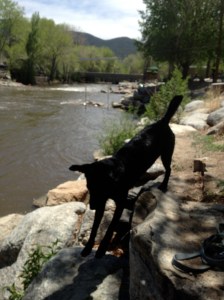 River on the Arkansas