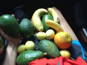 Bounty from the roadside honor stands -- all delicious!