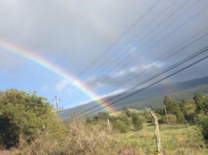 Cliche double rainbow on Maui!