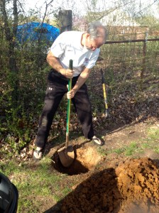 Fortunately, my hired hand is very into me, and showed up to finish the digging job.