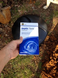 Eventually I'll add a little of this, but I'll wait until there's a little more...accumulation...and after it rains.