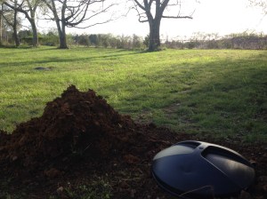 Here it is in the yard - I still have to move the dirt pile, but the only thing you see is the lid, and it's at the edge of the yard.