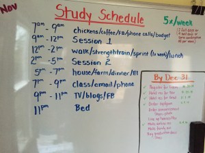 I stuck with this pretty closely; I know once you begin negotiating with yourself, everything gets too loose.