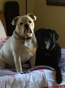 Another shot of my support team.