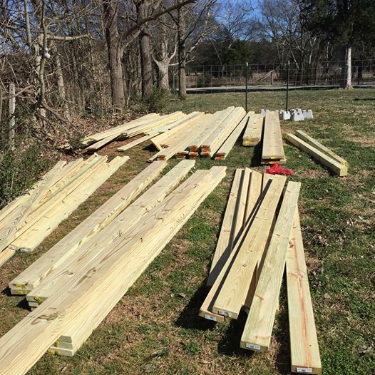 12814769_10208462424379004_8471982409496713082_n