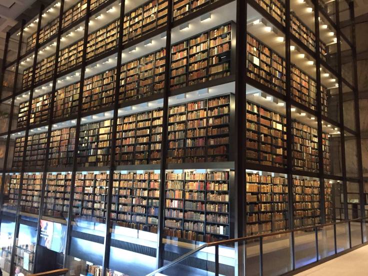 15304546_10210961884223938_1904041101567550653_o