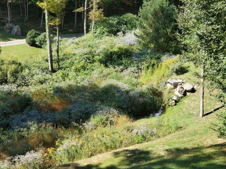 71217936_10103776038465694_2752823747516825600_o