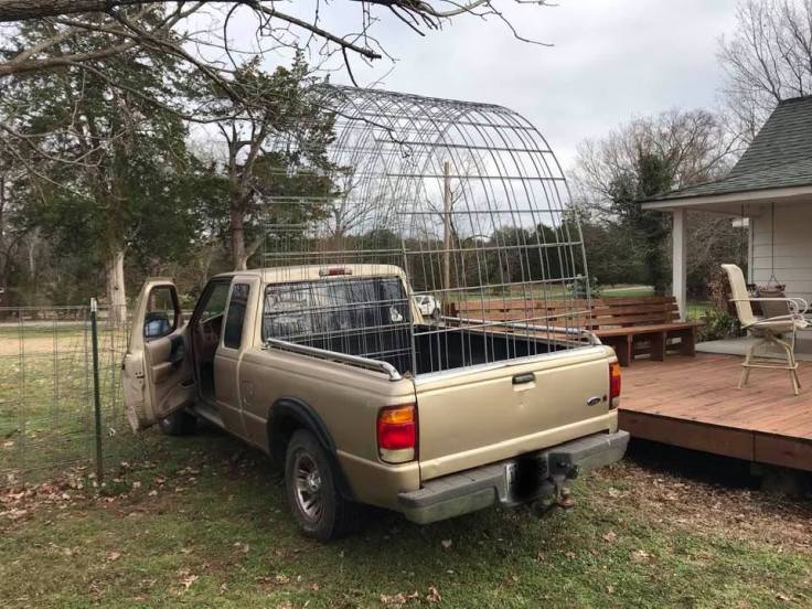 83253984_10221336428061050_1630149240854413312_n