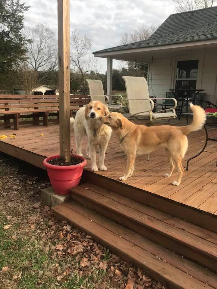 83454905_10221336341298881_6137148171630936064_n