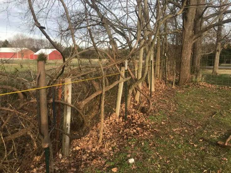 83645083_10221336327058525_3617352994359607296_n