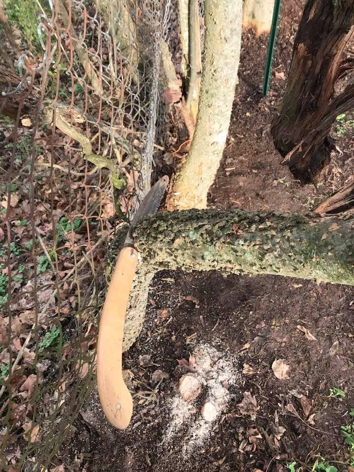 84012972_10221336403060425_1083498121385738240_n