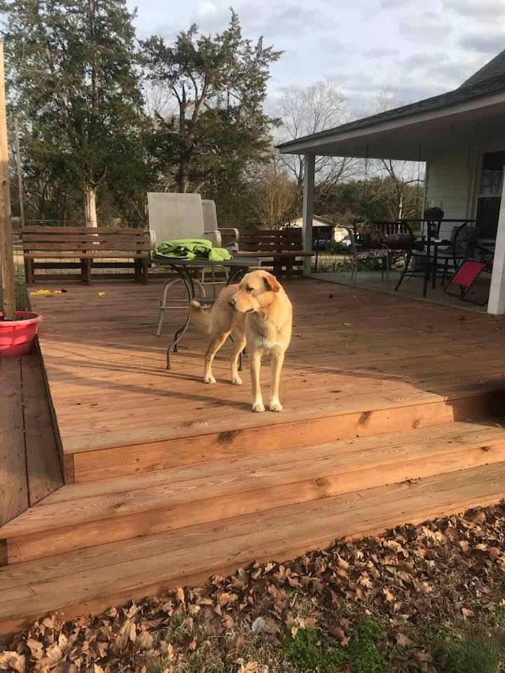 84057611_10221336332858670_3714295036205072384_n