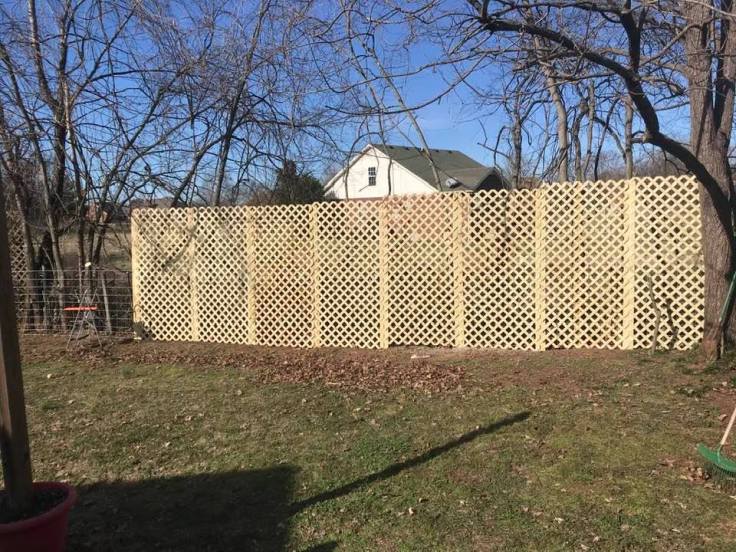 84336353_10221336590745117_3230987129504923648_n-1