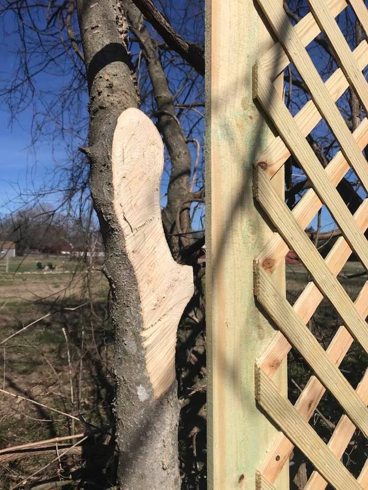 84435765_10221336535223729_3985827408438624256_n