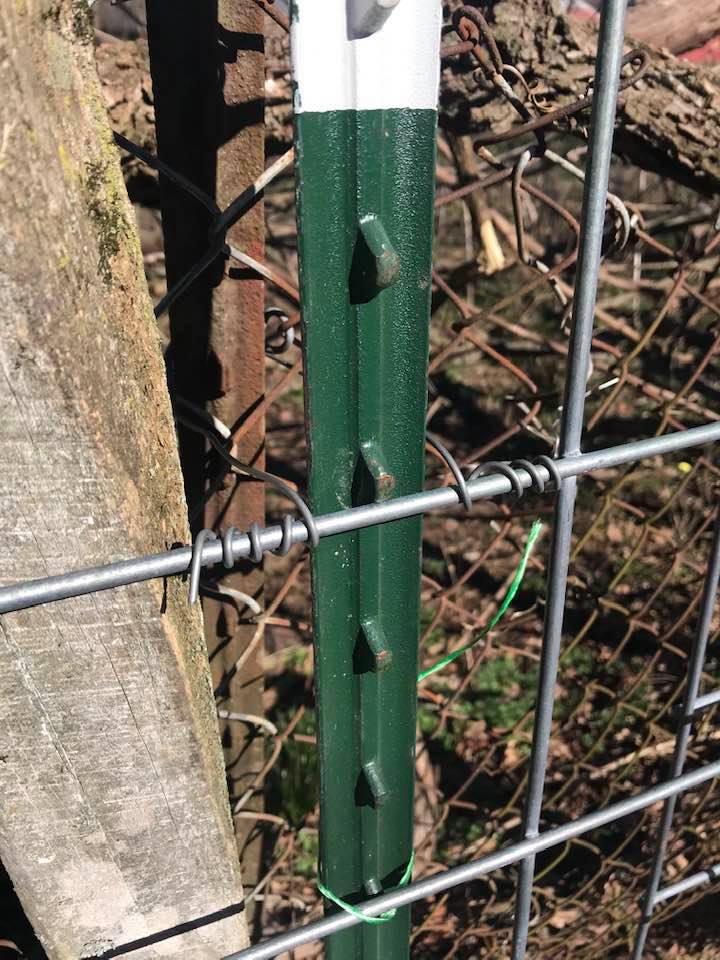 84633896_10221336502142902_5990564756044382208_n